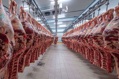 confezionamento-carne-supply-chain confezionamento-carne-supply-chain
